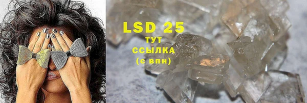 PSILOCYBIN Корсаков