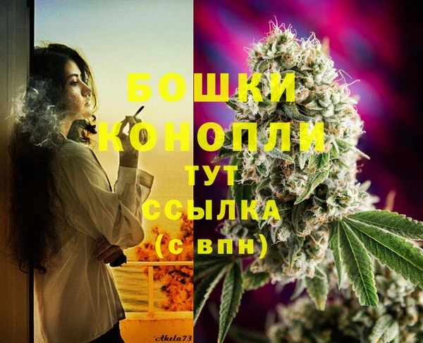 тгк Козельск