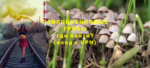 PSILOCYBIN Корсаков