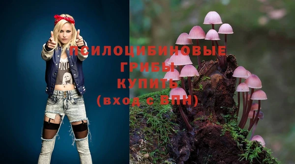 мдма Коряжма