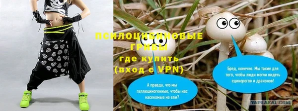 крисы Кодинск