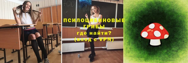 тгк Козельск