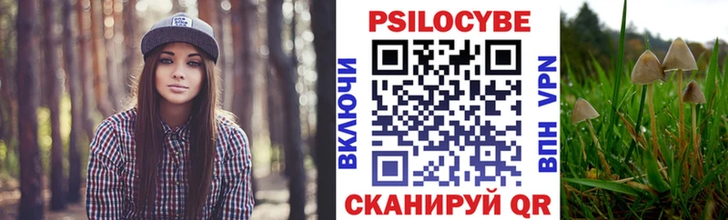 Галлюциногенные грибы Psilocybe  где купить   Курчатов 