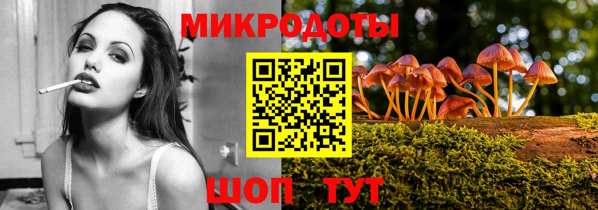 Псилоцибиновые грибы Psilocybine cubensis Курчатов