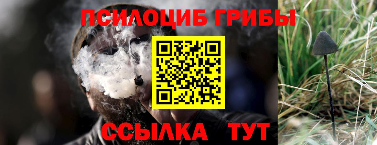 Псилоцибиновые грибы мухоморы  Вход с VPN  что такое   Курчатов 